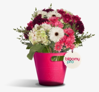 Join The Power Of Visualization And Integration Of