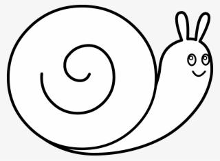 Mollusc Clipart Cookie - Insect