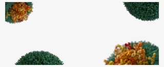 Header 2 - Evox Therapeutics Limited