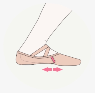 Demi Plié<br />when A Dancer Is In Demi Plié The Foot - Dinghy