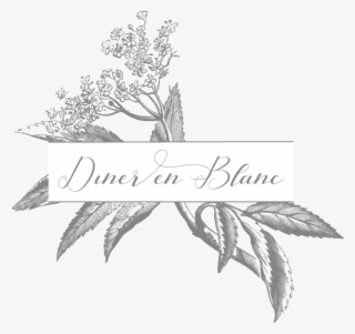 Amazing Christian Life: Ten Transforming Truths