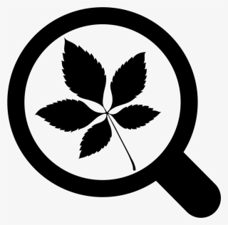 Png File Svg - Leaves Of Grass Png