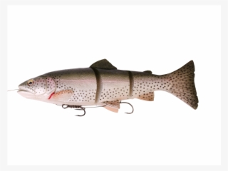 Sg 3d Line Thru Trout 30cm 303g Ms - Trout 3d Savage Gear