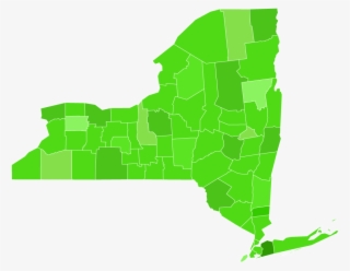 New York Remediation Services - Map Of New York State