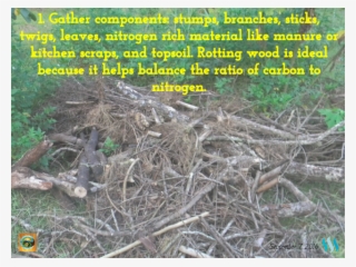 Here Are 4 Steps For How To Build A Hugel Mound - Root