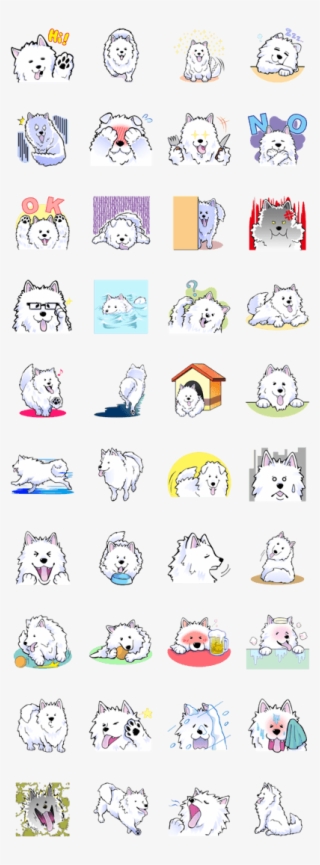 Previous - Samoyed Dog
