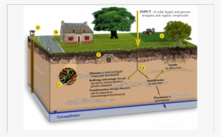 Schematic Illustration Of The Different Functions Of - Environmental Soil Science