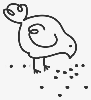 Chicken - Cartoon