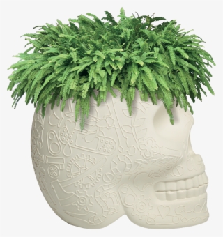 02 Qeeboo Mexico Planter Champagne Cooler By Studio - Qeeboo Skull Planter