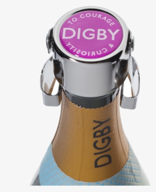 Fizz Stopper - Bung