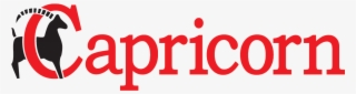 4/4 - Capricorn