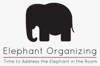 Professional Organizer