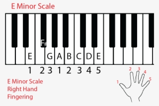 Play The Hands Separately - Music