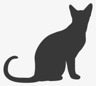 There's A Sad Cat Looking Out A Window At Me - Sitting Cat Silhouette Png