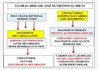 Anti Aging Therapy That Involves Magnesium And Sirt1