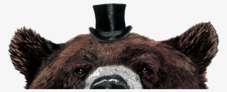 Bear Final - Jpeg