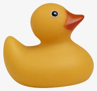 Toy