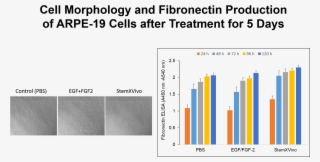 Fibronection Elisa Of Cell Culture Supernatants Recombinant - Protein