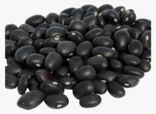 Velvet Bean In Urdu