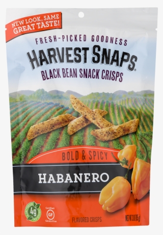 Black Bean Png