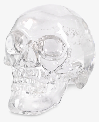 Rock Crystal Skull By Andreas Von Zadora-gerlof