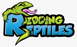 Reptile Eye Png