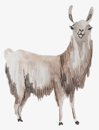 Llamas Are Lovely - Alpaca Watercolor Llama