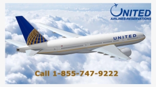 Experience The Nightlife Of Los Angeles With United