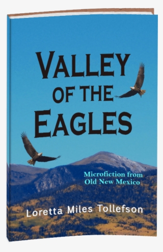 Old Book Cover Png