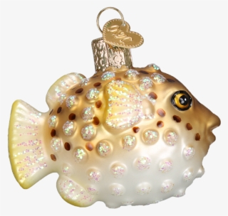 Puffer Fish Png