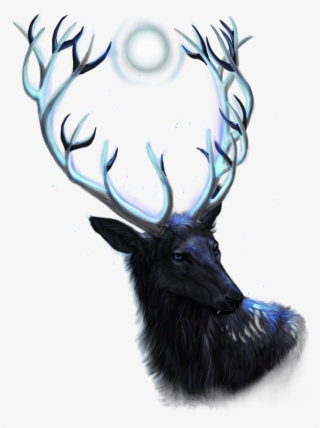 Nixon 'elias' Brooks Nix, Alpha, Moonswift, Winterheart