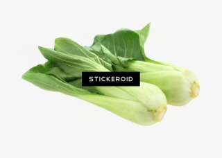 Bok Choy Food - Vegetable