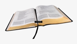 Holy Bible
