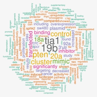 Sort By - Word Cloud In R Studio
