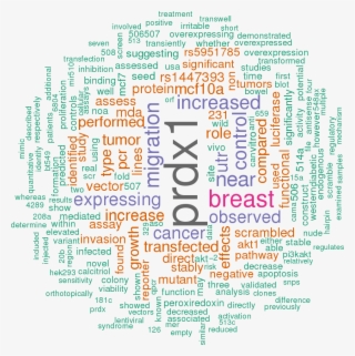 Sort By - Word Cloud Of World Cup Png