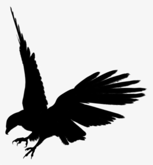 Eagle - Black Eagle Png