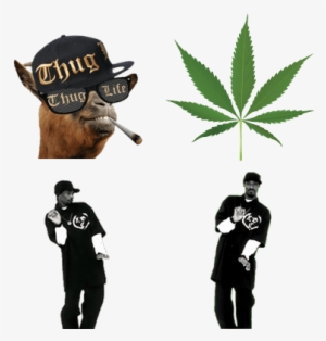 Thug Life Stuff - Thug Life Meme Png