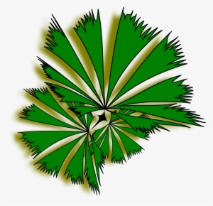 Plant Top View Png - Palm Tree Top View Clipart