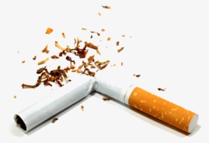 Smoke Clipart Png Tumblr - Broken Cigarette Png