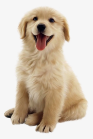 Puppies Galore & More Jacksonville, Florida - Hertzko Long Blade Dog & Cat Dematting Comb