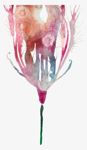 Feather Floral Original Watercolor Painting - Wine Glass