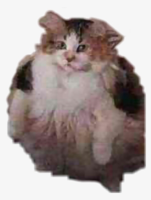 Report Abuse - Bröther May I Have Some Lööps