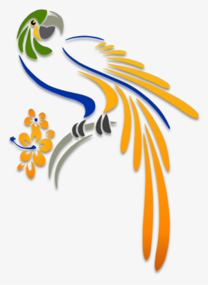 Image Stock Parrot Illustration My Illustrations Pinterest - Parrot Stencil