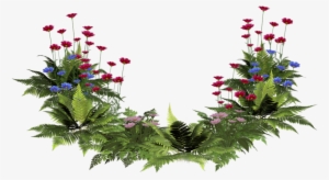 Images House Plants Png - Clip Art