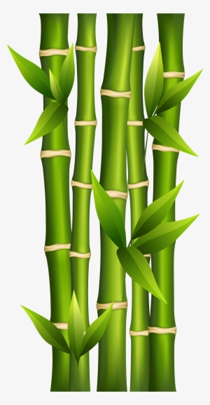 Bamboo Png Clipart Image - Bamboo Clipart