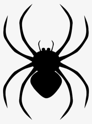 Spider Png Hd - Spider Clipart Png