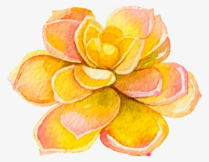 Natural Fertility Support For Any Diagnosis - Watercolor Painting
