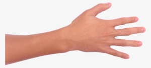 Free Hand On Flat Surface Stock Photo - Mao Png