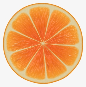 Perfect Orange Halved Png Image - Zest