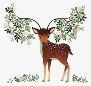 Png Free Girly Clipart Deer - Deer Illustration